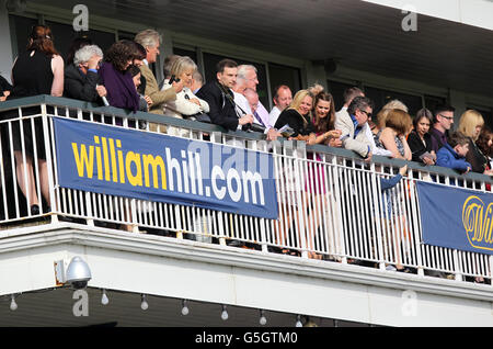 Corse ippiche - William Hill Ayr Gold Cup - Ayr Gold Cup Day. Racergoers sul balcone dell'Ayr Racecourse Foto Stock