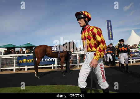 Horse Racing - William Hill Ayr Gold Cup - Ayr Gold Cup giorno Foto Stock