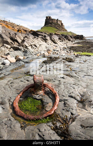 Regno Unito Inghilterra Northumberland, Isola Santa Lindisfarne Castle e ruggine anello di ferro dal vecchio molo Foto Stock