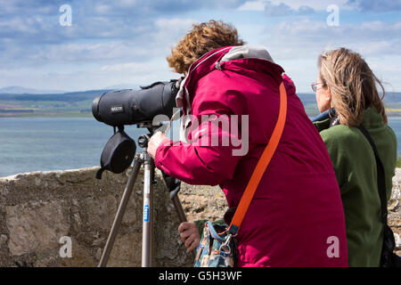 Regno Unito Inghilterra Northumberland, Isola Santa Lindisfarne Castle, visitatori osservando le guarnizioni di tenuta tramite il telescopio dal tetto Foto Stock