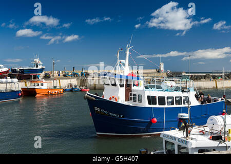 Regno Unito Inghilterra Northumberland, Seahouses Harbour, lieto Tridings V farne Islands viaggio in barca nave di ritorno Foto Stock