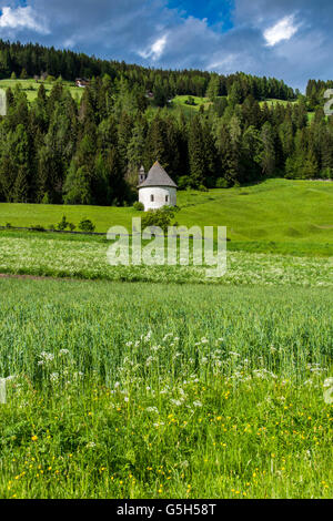 Cappella di Lerschach in Dobbiaco - Dobbiaco - Alto Adige - Alto Adige, Italia Foto Stock