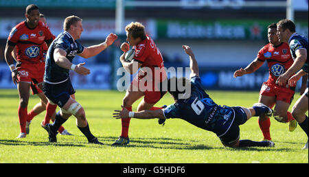 Il Rugby - Heineken Cup - Piscina 6 - Round 2 - Cardiff Blues v Toulon - Cardiff Arms Park Foto Stock