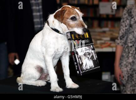 Uggie il cane, stella del film vincitore dell'Oscar l'artista tiene un evento speciale per promuovere il suo libro, Uggie: The Artist: My Story, a Londra. Foto Stock