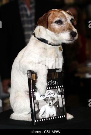 Uggie il cane, stella del film vincitore dell'Oscar l'artista tiene un evento speciale per promuovere il suo libro, Uggie: The Artist: My Story, a Londra. Foto Stock