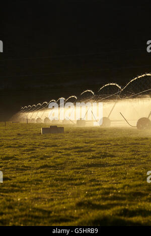 Il centro di rotazione di irrigazione, vicino a Twizel, Mackenzie District, Canterbury sud, Isola del Sud, Nuova Zelanda Foto Stock