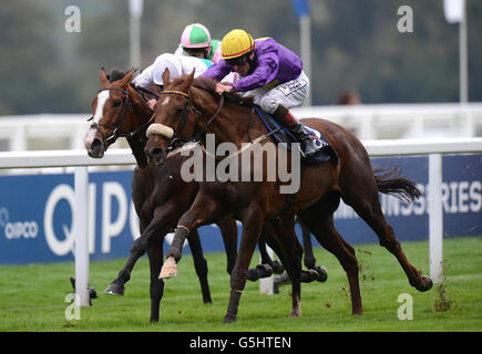 Horse Racing - QIPCO British Champions giorno - Ascot Racecourse Foto Stock