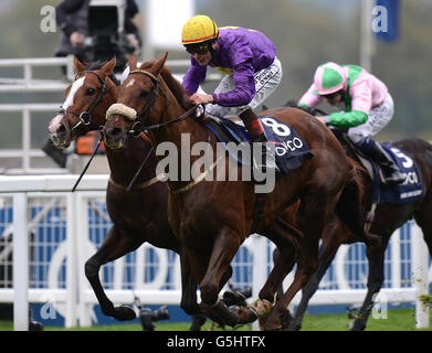 Horse Racing - QIPCO British Champions giorno - Ascot Racecourse Foto Stock