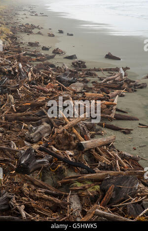 Elk River Beach registri deriva, Cape Blanco parco statale, Oregon Foto Stock