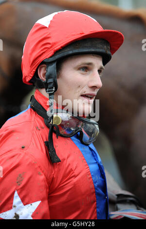 Horse Racing - William Hill Jump Domenica - Ippodromo di Kempton Foto Stock