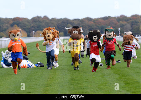 Calcio - Football League carità mascotte Race 2012 - Doncaster Racecourse Foto Stock