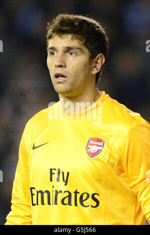 Calcio - Capital One Cup - Quarta tornata - Reading v Arsenal - Stadio Madejski. Portiere Arsenale Damian Martinez Foto Stock
