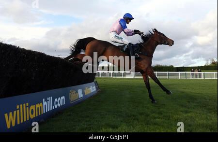 Corse di cavalli - Ippodromo di Hereford. Missstree Dancer guidato da Nick Scholfield sulla strada per la vittoria nella 32Red Mares&acute; handicap Chase all'ippodromo di Hereford. Foto Stock