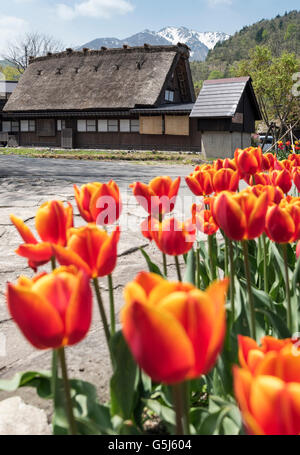 Ogimachi Folk Village, Hida Shirakawa-go (Shirakawa), Japan Foto Stock