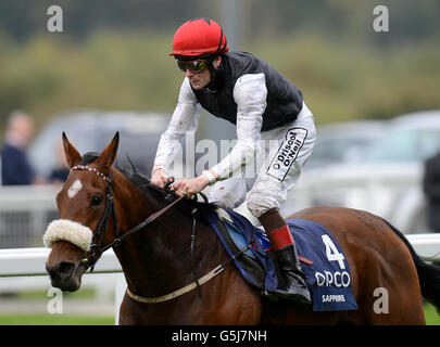 Zaffiro guidato da Pat Smullen vincitori del Qipco britannico Champions Fillies' e Mares' Stakes Foto Stock