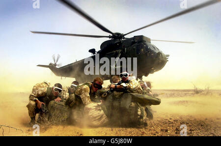 I Royal Marines del 40 Commando entrano in un huddle mentre l'elicottero Royal Navy Seaking che li ha volati decolli. I Marines partecipano all'esercizio Saif Sarrea in Oman. Foto Stock