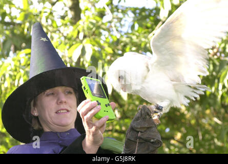 Frosty the Snow Owl, di 3 anni, aiuta al lancio di Harry Potter e la pietra filosofale per GameBoy Color (nella foto), GameBoy Advance, PC e Sony Playsation al Chelsea Physicic Garden di Londra. * i giardini sono stati trasformati per il giorno in giardini di Erbologia del Professor Sprout con zucche, radici di mandraga e visite della Foresta Proibita disponibili per gli avventurosi. PA Foto : Johnny Green. Foto Stock