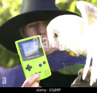 Frosty the Snow Owl, di 3 anni, aiuta al lancio di Harry Potter e la pietra filosofale per GameBoy Color (nella foto), GameBoy Advance, PC e Sony Playsation al Chelsea Physicic Garden di Londra. * i giardini sono stati trasformati per il giorno in giardini di Erbologia del Professor Sprout con zucche, radici di mandraga e visite della Foresta Proibita disponibili per gli avventurosi. Foto Stock