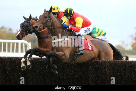 Horse Racing - Haydock Gare Foto Stock