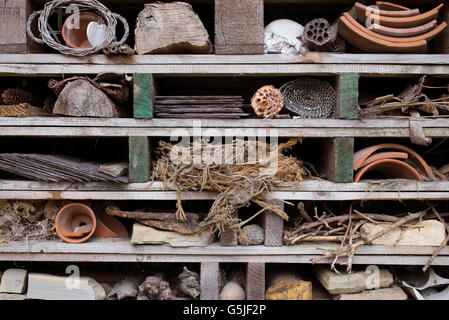 Casa di insetti realizzata utilizzando vecchi pallet in legno per incoraggiare gli insetti (FAUNA) nel giardino. Cotswolds, Inghilterra Foto Stock