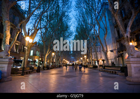 Notte orizzontale volta vista di Passeig del Born in Palma di Maiorca. Foto Stock