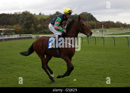 Horse Racing - Nottingham Gare Foto Stock