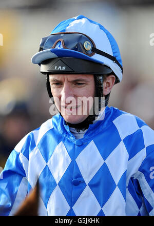 Corse ippiche - Racing Post Trophy Flat Meeting - Ippodromo di Doncaster. Patrick McDonald, jockey Foto Stock