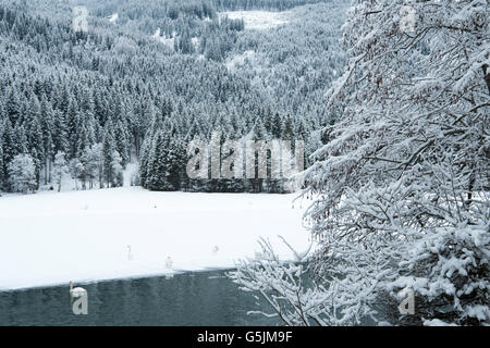 Österreich, Salzburger Land, Kleinarl vanta bei Wagrain, Jägersee Foto Stock