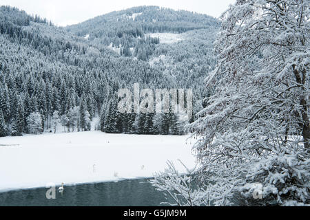 Österreich, Salzburger Land, Kleinarl vanta bei Wagrain, Jägersee Foto Stock