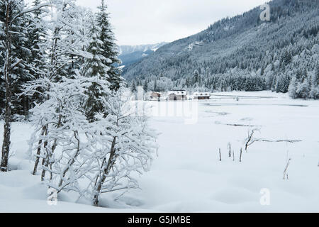 Österreich, Salzburger Land, Kleinarl vanta bei Wagrain, Jägersee Foto Stock