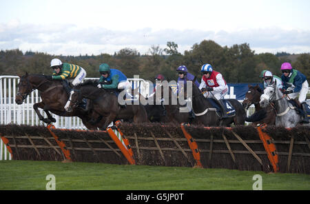 Horse Racing - Regno House Group giorno - Ascot Racecourse Foto Stock