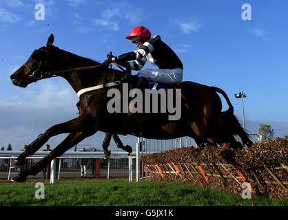 Carl John Rafter a cavallo Lord Rochester all'ippodromo di Cheltenham. Foto David Davies. Foto Stock