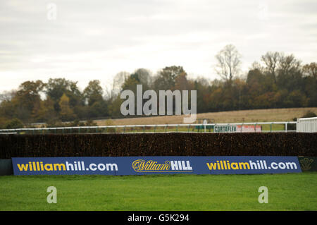 Horse Racing - Lingfield Park Gare Foto Stock