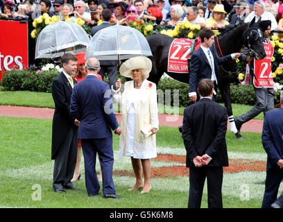 Il Principe del Galles e la Duchessa di Cornovaglia (al centro) parlano con il presidente del Victoria Racing Club Michael Burn e sua moglie Fiona, mentre partecipano alla Melbourne Gold Cup Day al Flemington Race Course di Melbourne, Australia. Foto Stock