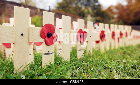 Vista generale delle croci nel campo della memoria degli Eroi dell'Afghanistan della Legione Britannica reale nel giardino murato al Parco di Lydiard. Foto Stock
