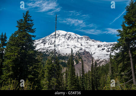 Mount Rainier che mostra il tanto si abbassarono Nisqually ghiacciaio che è la testa del Fiume Nisqually. Foto Stock