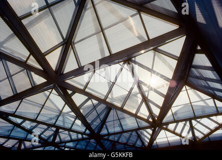 Abstract vista interna del tetto e lucernari; Galleria d'Arte Nazionale; Washington, D. C.; USA Foto Stock