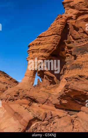 Red rock formazione paesaggio della valle del fuoco, nv Foto Stock