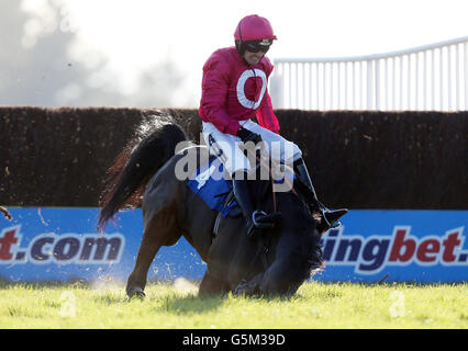 Ruby Walsh and Keppols Hill è un'altra parte del Corse Welfare Jonny Brown Novices&acute; Chase durante lo Student Raceday all'ippodromo di Exeter. Foto Stock