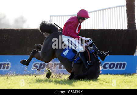 Corse di cavalli - Raceday studentesco - Ippodromo di Exeter. Chase durante lo Student Raceday all'ippodromo di Exeter. Foto Stock