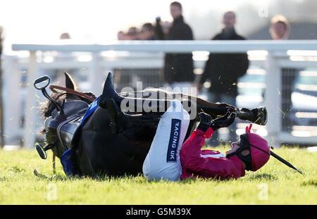 Ruby Walsh and Keppols Hill è un'altra parte del Corse Welfare Jonny Brown Novices&acute; Chase durante lo Student Raceday all'ippodromo di Exeter. Foto Stock