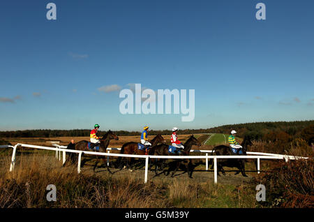 I corridori nell'ostacolo di handicap di Pertemps fanno il loro senso al punto di partenza durante il Raceday dello studente all'Ippodromo di Exeter. Foto Stock