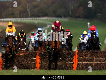 Ikie Mo guidato da James Best guida il campo nelle industrie aggregate Stoneycombe Novices&acute; ostacoli durante lo studente Raceday a Exeter Racecourse. Foto Stock