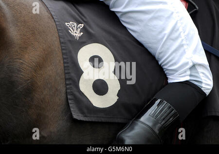 Particolare di un jockey seduto sul loro giro a Lingfield corse Foto Stock