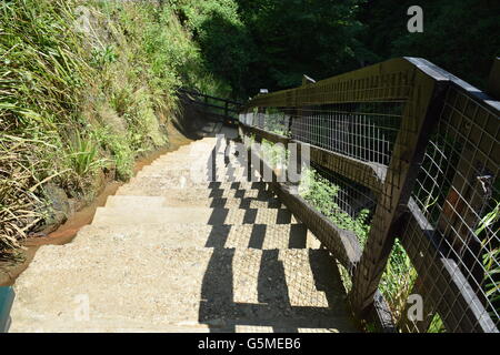 Lunghe e ripide scale nel Parco Foto Stock