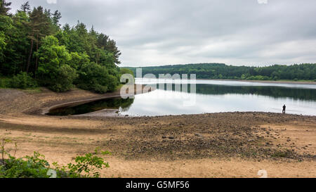 Acqua bassa nel serbatoio Fewston, con l'uomo la pesca con la mosca, North Yorkshire, Inghilterra, Regno Unito Foto Stock