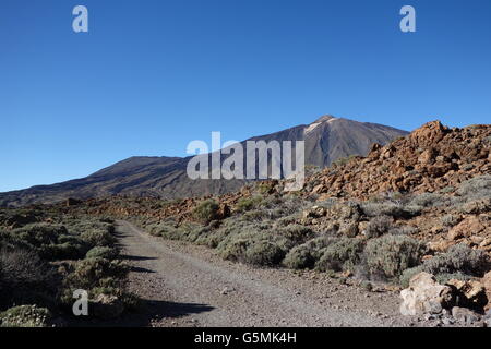 Vista sul Pico del Teide da Rura de Las Canadas, Parque National del Teide Tenerife Foto Stock