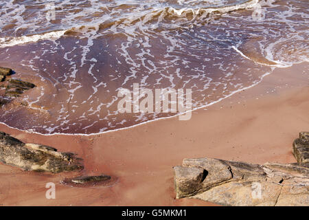 Surf, sabbia e scogli Foto Stock