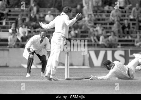 Cricket - National Westminster Bank Trophy 1982 - Semi-Final - Surrey v Middlesex - Kennington Oval Foto Stock