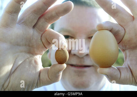 Paul Rae, 52, da Wallwick Farm House B&amp;B a Northumberland che reckons ha trovato l'uovo di gallina più piccolo del mondo confessato che lo ha preso in tasca per mostrare i suoi amici al pub. Foto Stock